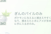【ポケモンGO】増えた「銀パイル」どうしてる？