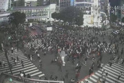 ラグビーファン渋谷の交差点で大騒ぎｗｗｗｗｗｗｗ
