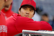 正直大谷・エンゼルスの中継は楽しかったけど大谷・ドジャースの中継はいまいちだよな