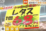 GW明けで流通量が増え野菜が値下がり傾向
