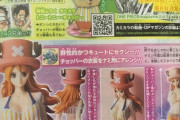 【画像】ナミさん、チョッパーの服を着てしまう