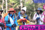 【櫻坂46】山﨑天が考案した円陣、採用！！！