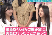 【乃木坂46】テレサ『遠藤さくらさんの握手会に行ったことがあって』