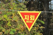 【韓国】軍事境界線の近く…地雷が大雨で大量流出か