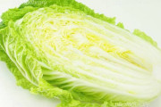 【悲報】白菜の消費方法ｗｗｗｗｗｗｗ