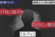 【悲報】テレビ「犯罪者がルフィwルフィで報道したろwルフィルフィルフィルフィw」尾田っち「……」