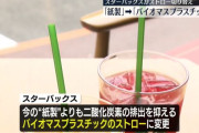 スターバックス、紙から「バイオマスストロー」への切り替えを全国で開始