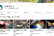 【悲報】最近のYouTube、「外で拾ってきた虫や草」を食べる動画が流行ってしまう
