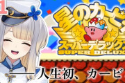 【にじさんじ】栞葉「wiiもwiiuも触ったことないし（VCの）準備遅れても仕方ないよね」