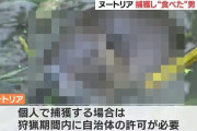 特定外来生物「ヌートリア」を捕まえて食べ、動画をアップした男を逮捕！これ食えんの！？