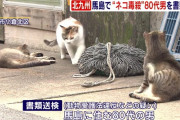 【福岡】猫の島で毒餌をまき猫を大量殺害した８０代の老害が書類送検される