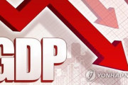 韓国、コロナショックで１－３月期成長率マイナス１．４％…通貨危機当時まで落ち込む＝韓国の反応