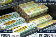 アメリカの卵1900円