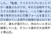 【悲報】クリスマス栗山「翔平…彼女とか作らないのか？」 大谷「は？」