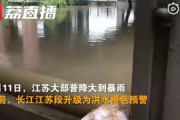 【画像】中国の道路、水族館になる