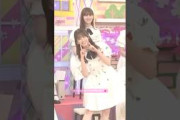 さっちゃんはアイドル学校出身？ #菅原咲月 #松尾美佑 #弓木奈於 #バナナマン #乃木坂46 #ネーブルオレンジ #samenumbers #乃木坂工事中