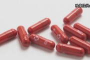 【速報】コロナ飲み薬「モルヌピラビル」使用を了承　厚労省　重症化防ぐ初の飲み薬