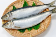 サーモン・サバ高騰でニシンが注目「脂がのって身もふわふわ」漁獲量と価格が安定