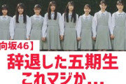【4月13日の人気記事10選】 日向坂46 辞退した幻の五期生、これマジか… ほか【乃木坂・櫻坂・日向坂】