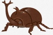 【悲報】子どもによる『カブトムシ離れ』が増加中… お前ら、触りたくないの？