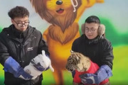 【動画】中国の動物園「本物の虎さんとウサギさん使って、干支の引き継ぎ式やるでー」