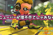 【スプラトゥーン2】中距離シューター使ってる身からするとマニューバーが理不尽でしゃあないんやが