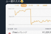 【人生敗北】つみたてNISA、仮想通貨、Paypayボーナス、ワイちゃんも逝くっwｗｗ