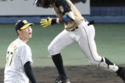 1軍でも実績のある阪神・及川は1回1失点　万波に二塁打を浴びる