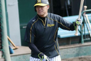 【悲報】与田中日、福留を獲得するしかなくなる…