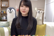ハリネズミとペンギンに挟まれるかっきーがシュールで可愛いｗｗｗ【乃木坂46】