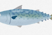 【福井】福井県のブランド養殖魚「小浜よっぱらいサバ」、飼育の9割死ぬ　猛暑の影響か
