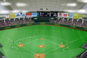 来年のWBC終わったな