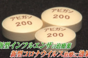 【2chスレまとめ】 新型コロナ「アビガン」の治療効果が確認される！富士フイルムの株が爆上がりか？