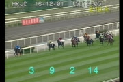 ステイゴールドが勝った香港ヴァーズを見たんだけど
