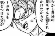 ドラゴンボールってお涙頂戴要素とか悲しい過去を持つキャラがいないよな