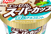 「チョコミントはあの緑色が苦手…」の声に答え白いチョコミントアイスが発売中！！！