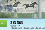 【悲報】大井競馬、2頭だけのレースを開催