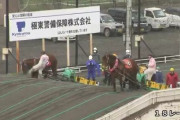 【動画】ばんえい競馬の騎手が馬の顔を蹴って処分！「許される行為ではない」