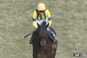 【京都牝馬S】武豊騎手 38年連続JRA重賞勝利