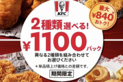 ケンタッキーで2種類選んでお得な1100円パックを売ってるんやがなんG民はどれにするんや？
