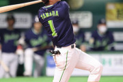 交流戦　山田哲人(29）.153(59-9) 5HR 7打点 OPS.749 打率ブービー 得点圏打率.000(15-0)