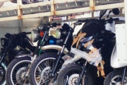 バイクってどこで売るのが正解なん？