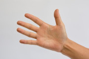 【研究】東大などの研究グループ「自閉症の人は薬指のほうが人差し指より長い傾向がある」と発表
