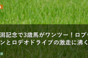 新潟記念で3歳馬がワンツー！ゾロアストロとロデオドライブの激走に沸く