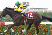 マスクトディーヴァはモレイラで阪神牝馬Sへ