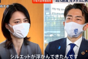 【悲報】小泉進次郎さんが住んでる横須賀市の市外局番「046」だった