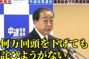 【悲報】野田佳彦さん「何万回頭を下げても詫びようがない」