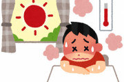 【ヤバイ】明日29日、関東は予想最高気温41℃！気象学者「全国の歴代1位に匹敵する最高気温」