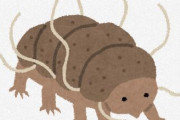 最強生物クマムシが、大量の放射線を浴びても死なない理由が明らかに