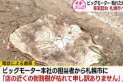 【朗報】ビッグモーターさん、札幌市に「街路樹が枯れてしまい申し訳ありません」と謝罪。電話でwww